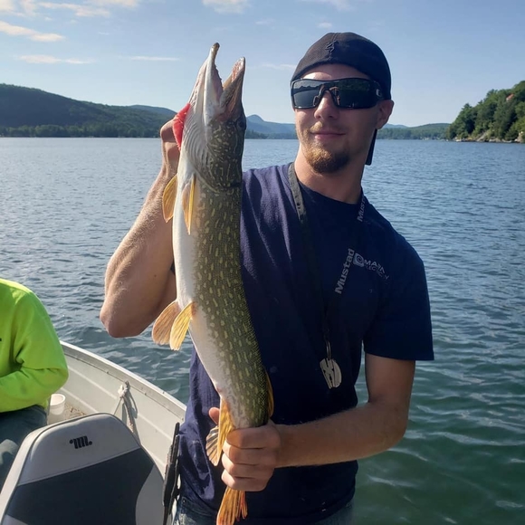 Meet your Posher, Ben - Picture 1 of 1